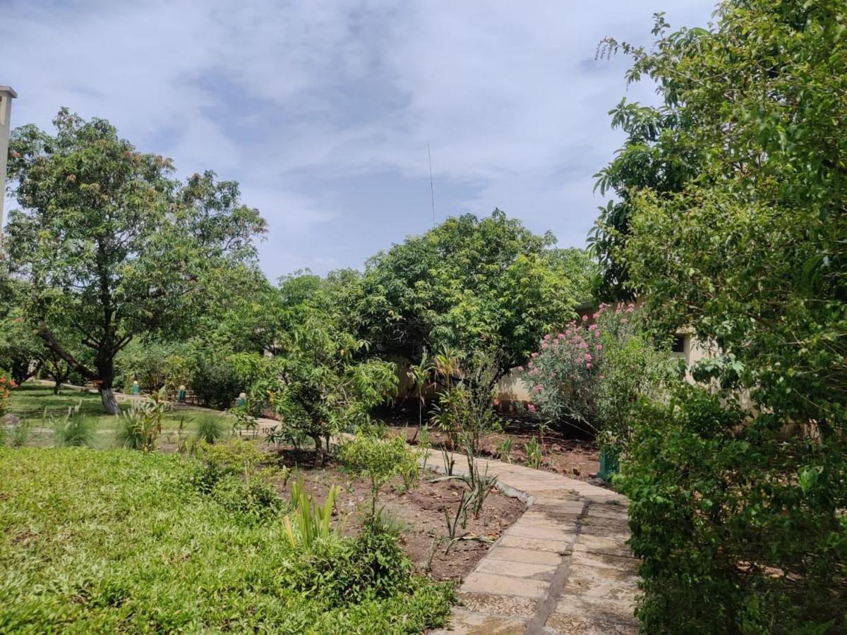 Gir Birding Lodge 사산 기르 외부 사진